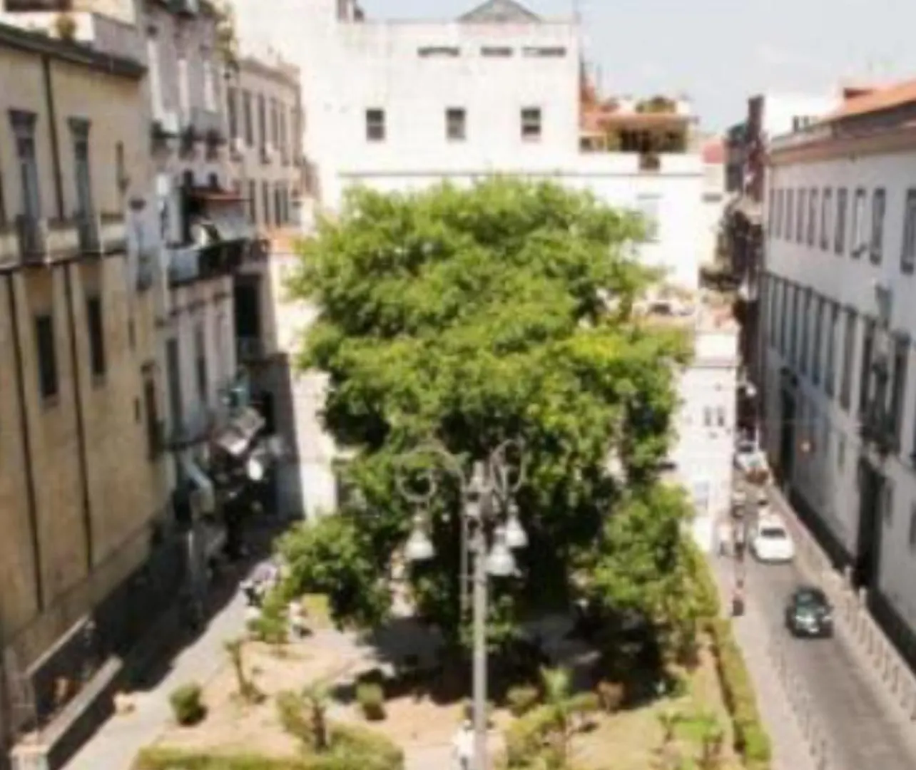 Apartment Diego Hause Duomo Naples Italy